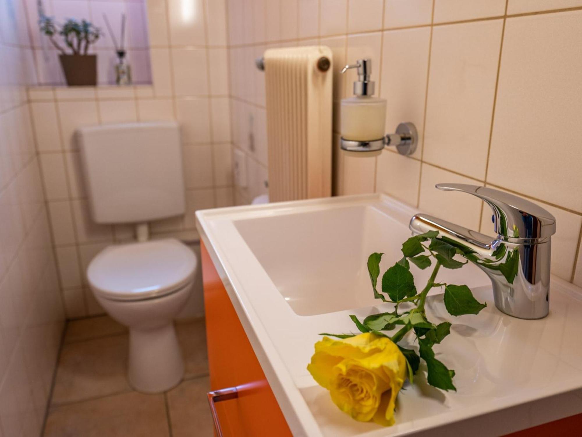 Ferienwohnung Dietsche تودتناو المظهر الخارجي الصورة